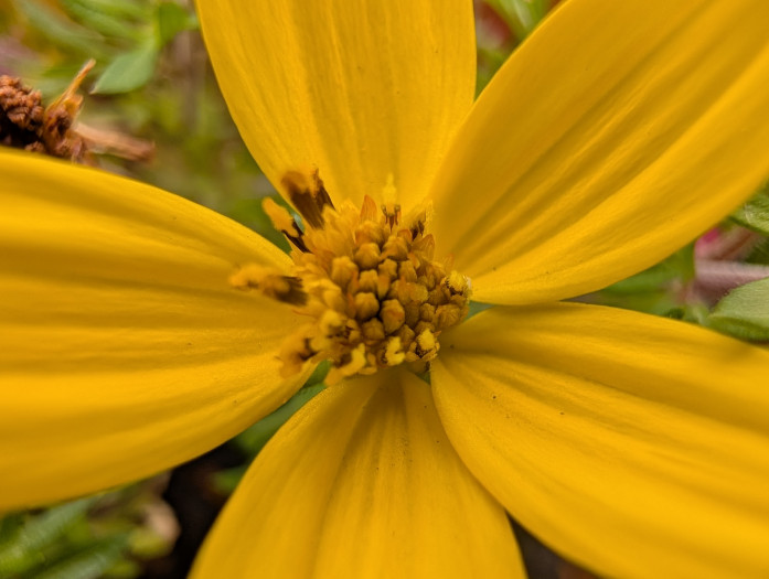 ... wie das Pixel 10 Pro XL ...